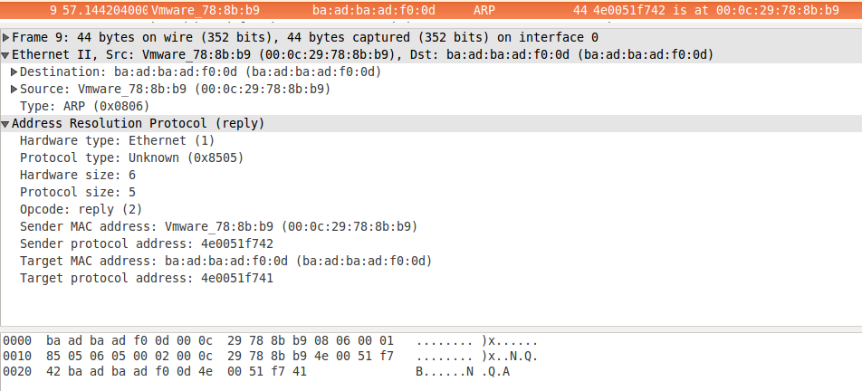 hollywood_network_wireshark_arp_reply