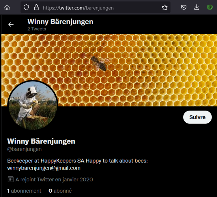 Une image contenant texte, objet d’extérieur, nid d’abeille, capture d’écran

Description générée automatiquement